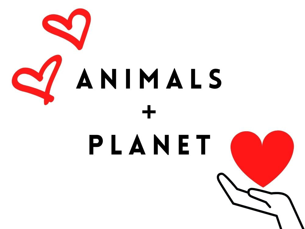 image showing our love for animals and planet using red hearts and large text of animals + planet